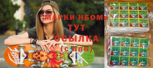 индика Усинск