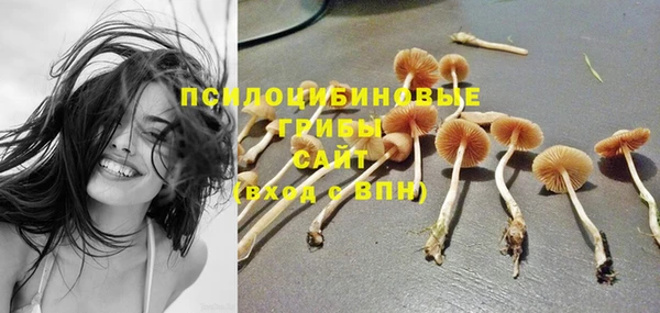 дживик Вязьма