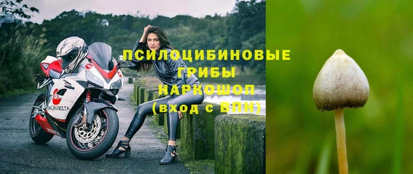 дживик Вязьма