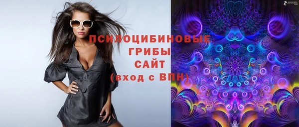дживик Вязьма