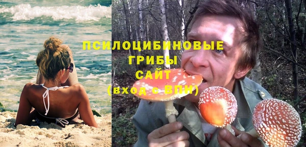 мет Вяземский