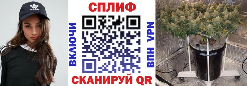 Шишки марихуана тримм  магазин  наркотиков  Курск 
